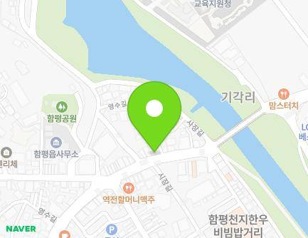 전라남도 함평군 함평읍 영수길 219 (제중약국) 지도