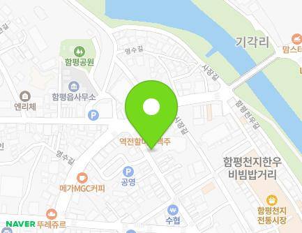 전라남도 함평군 함평읍 중앙길 112 (포장마차) 지도