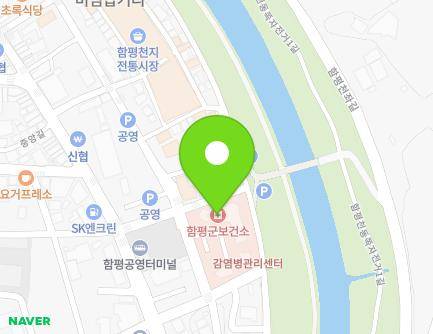 전라남도 함평군 함평읍 중앙길 54-8 (통합건강관리센터) 지도