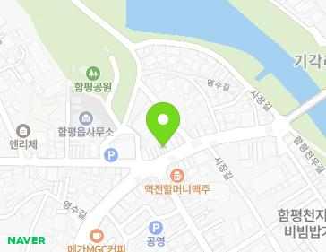 전라남도 함평군 함평읍 영수길 209 지도