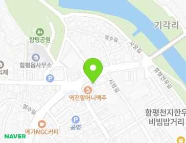 전라남도 함평군 함평읍 영수길 212-1 지도