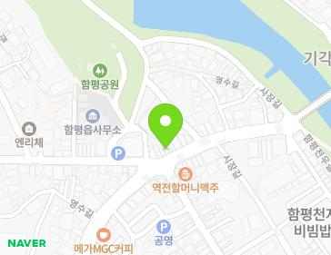전라남도 함평군 함평읍 영수길 207-1 지도