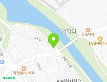 전라남도 함평군 함평읍 영수길 233 지도