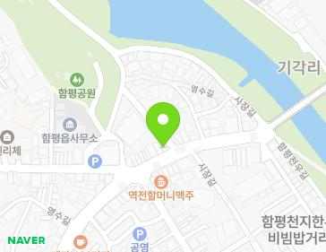 전라남도 함평군 함평읍 영수길 213 지도