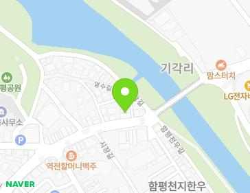 전라남도 함평군 함평읍 영수길 227 지도