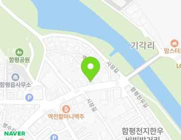 전라남도 함평군 함평읍 영수길 221 지도