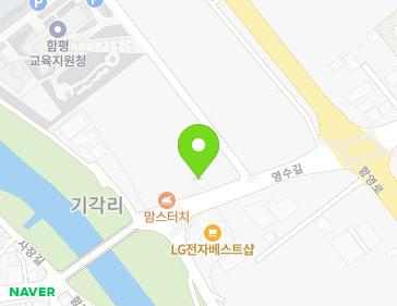 전라남도 함평군 함평읍 영수길 267 지도