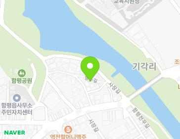 전라남도 함평군 함평읍 영수길 221-46 지도