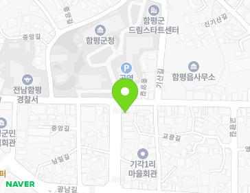 전라남도 함평군 함평읍 중앙길 195 지도