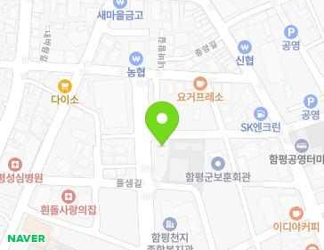 전라남도 함평군 함평읍 들샘길 40-24 지도