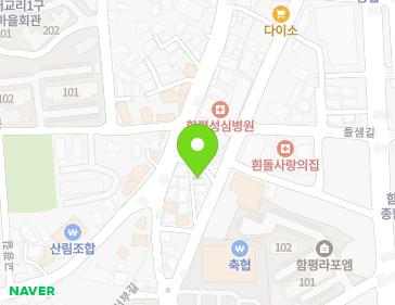 전라남도 함평군 함평읍 서부길 63-5 지도