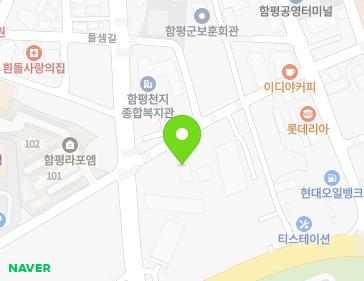 전라남도 함평군 함평읍 들샘길 29 지도