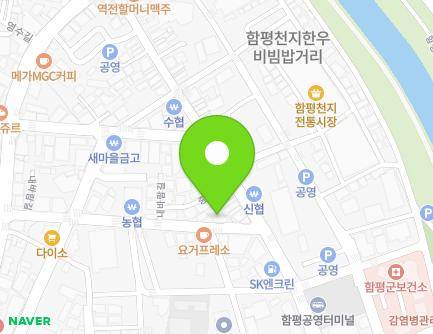 전라남도 함평군 함평읍 내바람길 65 지도