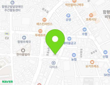 전라남도 함평군 함평읍 내바람길 33 지도