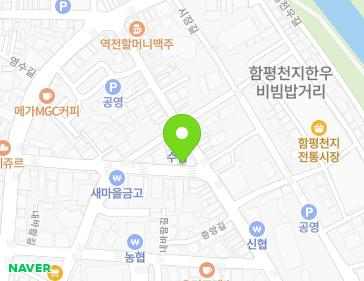 전라남도 함평군 함평읍 광남길 113 지도