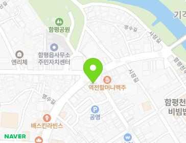 전라남도 함평군 함평읍 중앙길 119 지도