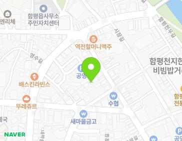 전라남도 함평군 함평읍 광남길 101-14 지도