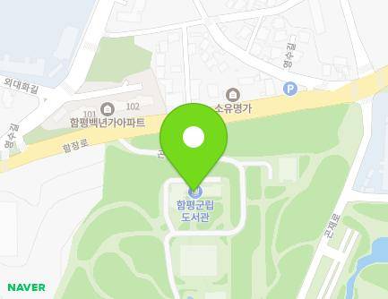 전라남도 함평군 함평읍 곤재로 36-33 지도