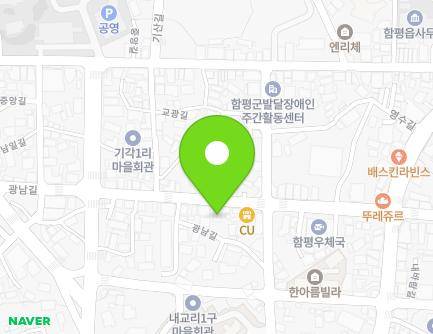 전라남도 함평군 함평읍 광남길 46 (제비표페인트) 지도