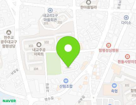 전라남도 함평군 함평읍 교광길 13-3 (남산미르채아파트) 지도