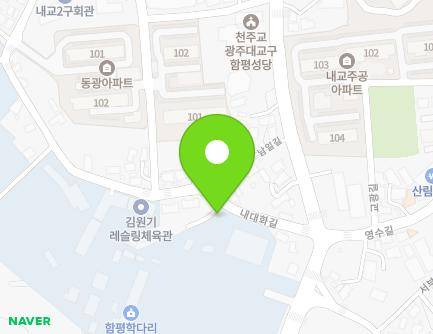전라남도 함평군 함평읍 내대화길 19 (신기경로당) 지도