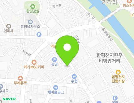 전라남도 함평군 함평읍 중앙길 101 (대우일렉트로닉스) 지도