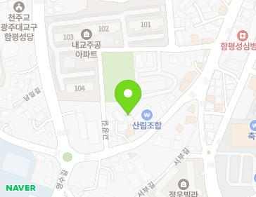 전라남도 함평군 함평읍 영수길 102 (성원전기) 지도