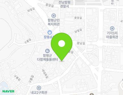 전라남도 함평군 함평읍 내대화길 117-1 (문성빌라(나동)) 지도