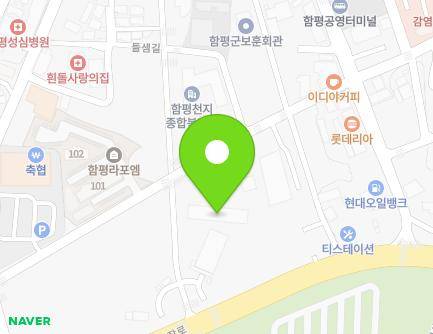 전라남도 함평군 함평읍 들샘길 39-7 (펠리지움) 지도