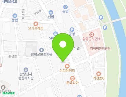 전라남도 함평군 함평읍 중앙길 35-1 (일반상가) 지도
