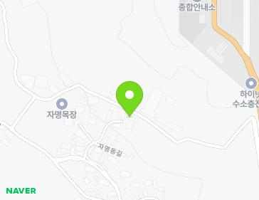 전라남도 함평군 함평읍 자명동길 84-20 지도