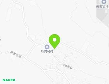 전라남도 함평군 함평읍 자명동길 84-9 지도