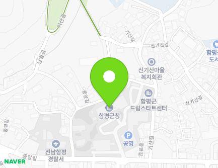 전라남도 함평군 함평읍 중앙길 200 (함평군청) 지도
