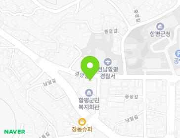 전라남도 함평군 함평읍 중앙길 229 지도