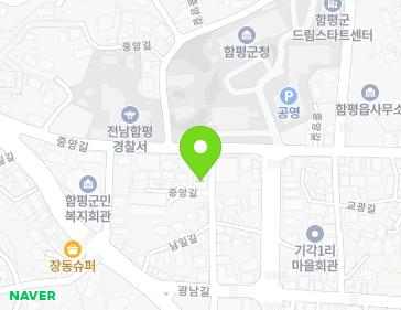 전라남도 함평군 함평읍 중앙길 209-10 지도