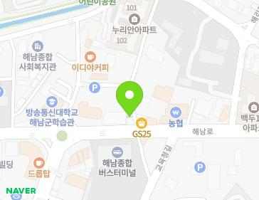 전라남도 해남군 해남읍 해남로 9 (튀김마당) 지도