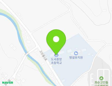 전라남도 화순군 도곡면 고인돌1로 115 (도곡중앙초등학교) 지도