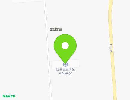 전라남도 화순군 도곡면 천암1길 11-55 (햇살짱토마토천암농장) 지도