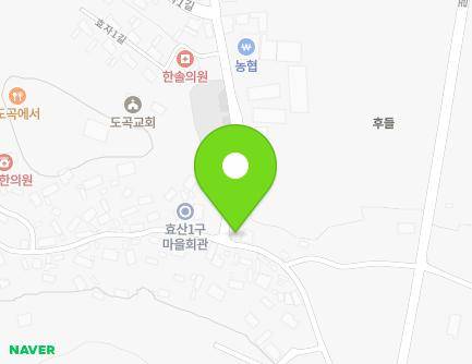 전라남도 화순군 도곡면 효자1길 29 (효산정미소) 지도