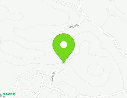 전라남도 화순군 청풍면 대비동길 221-7 지도