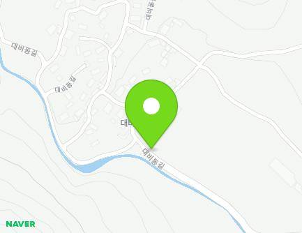 전라남도 화순군 청풍면 대비동길 164 (정자) 지도