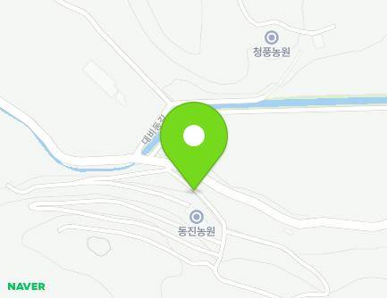 전라남도 화순군 청풍면 대비동길 131 지도