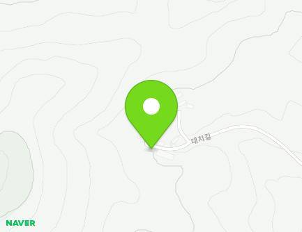 전라남도 화순군 춘양면 대치길 169 (정자) 지도