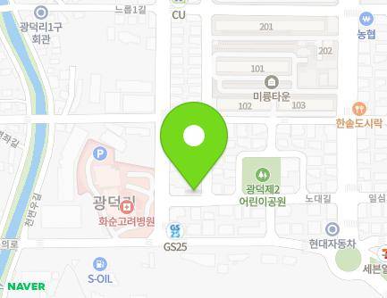 전라남도 화순군 화순읍 노대길 25-1 (효성기업) 지도