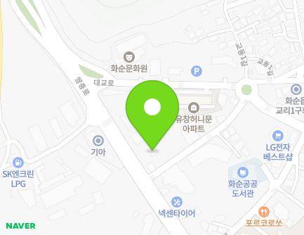 전라남도 화순군 화순읍 쌍충로 122 지도
