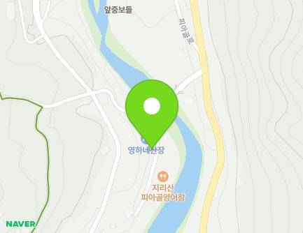 전라남도 구례군 토지면 내서신촌길 9-4 (영하네산장) 지도