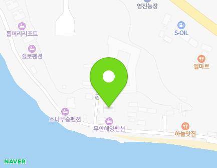 전라남도 무안군 망운면 톱머리길 66-6 (소나무숲동관) 지도