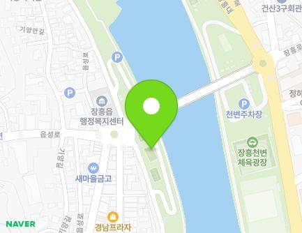 전라남도 장흥군 장흥읍 노벨문학길 64 (황금물고기를잡아라) 지도
