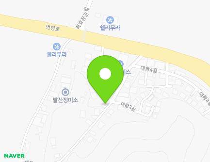 전북특별자치도 군산시 개정면 대황3길 12 (대황마을경노당) 지도