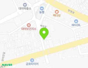 전북특별자치도 군산시 대야면 백마길 17 지도